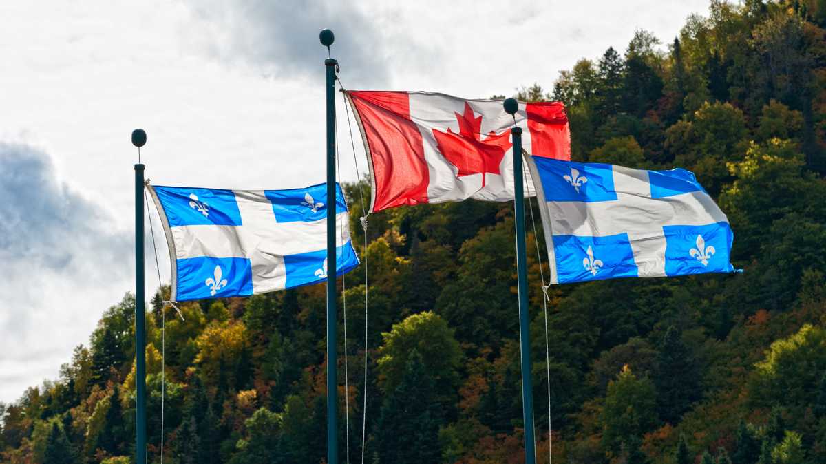 Choisissez l'une de ces universités québécoises pour bénéficier de la baisse des prix.