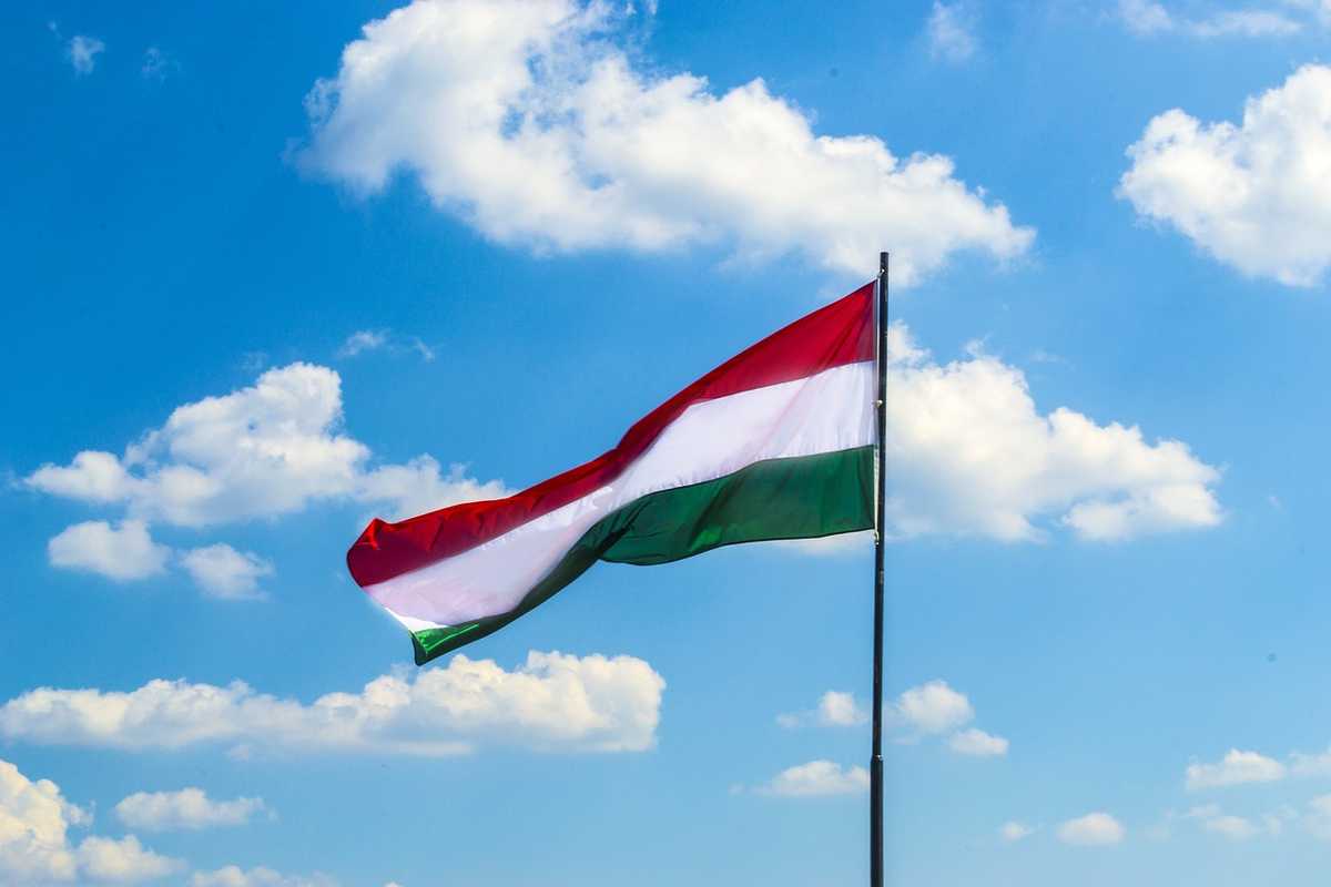 Programme de bourses FAO-Gouvernement hongrois 2024-2025